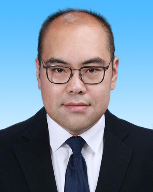 陈磊